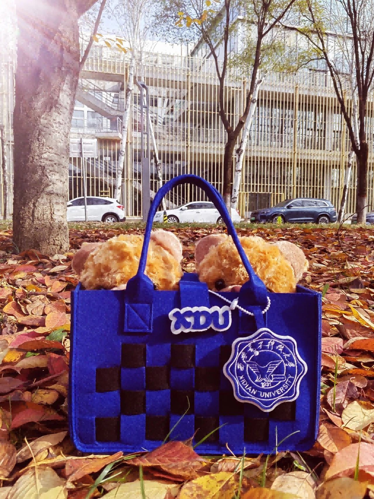 1733128985277218.png 1733128985277218.png